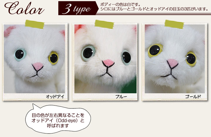 カドリー Cuddly ドロップス 白猫 ブルーアイ 黒猫 イエローアイ