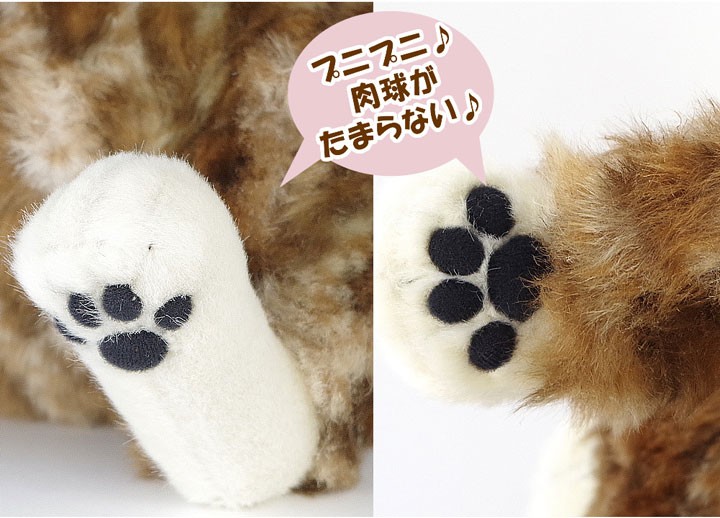 カドリー　ムッシュ　CUDDLY Muche ムッシュ Muche 猫のぬいぐるみ デブ猫 – Cuddly公式オンライン