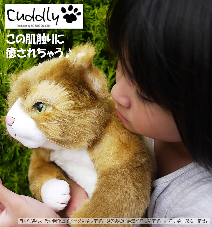 Cuddly(カドリー） 猫のぬいぐるみ わさ美（Wasabi)｜猫グッズ｜猫雑貨｜猫ぬいぐるみ｜リアル｜癒し｜