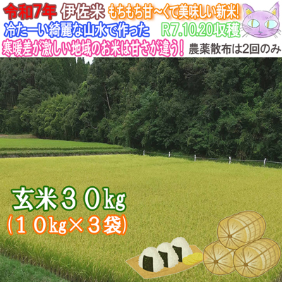 ヒノヒカリ 令和7年新米 米30kg 米 伊佐米 お米 30kg 新米 30kg 令和7