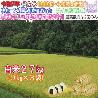 ヒノヒカリ 令和7年新米 米30kg 米 伊佐米 お米 30kg 新米 30kg 令和7