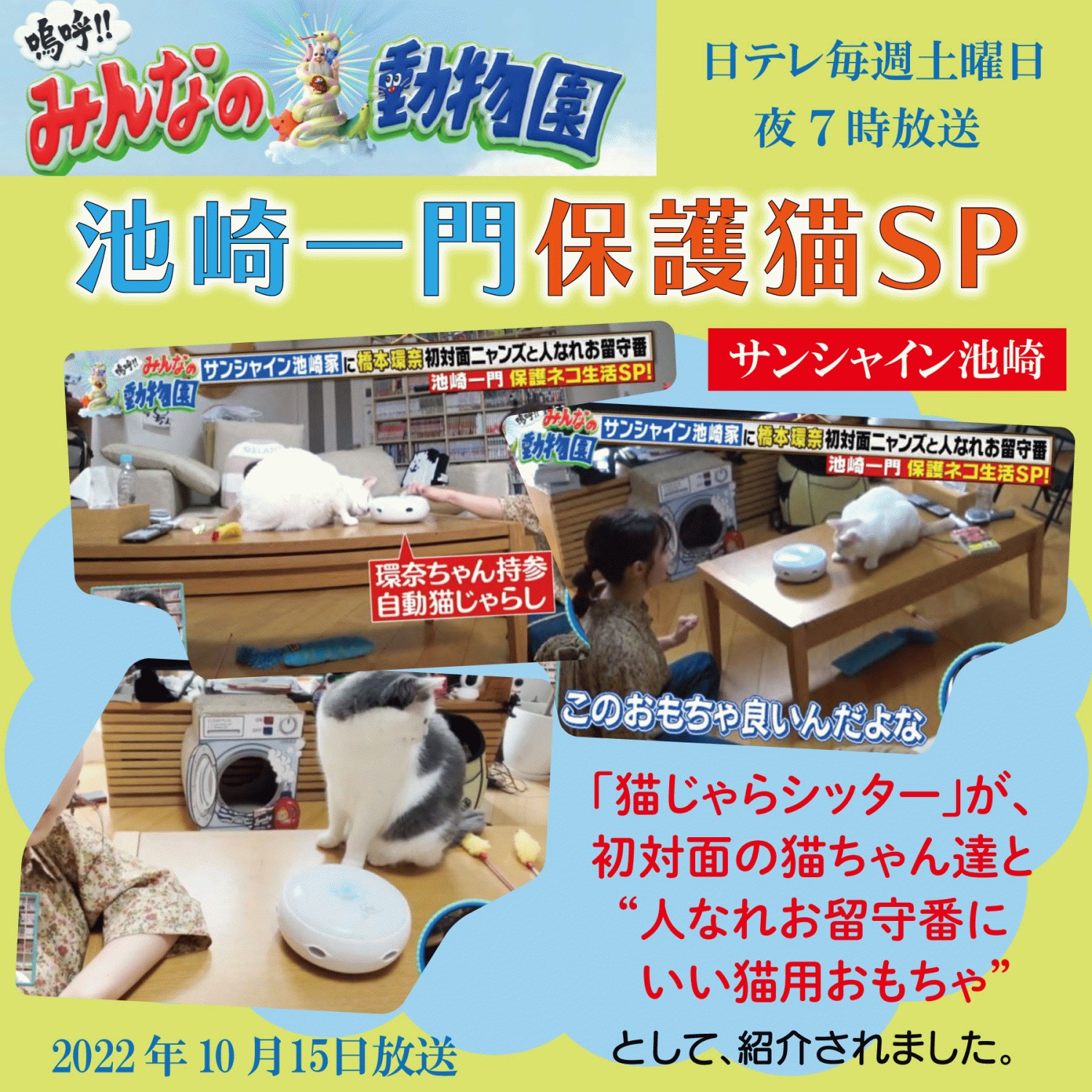 猫 おもちゃ 電動 一人遊び 猫のおもちゃ 猫じゃらし 猫じゃら 猫 おもちゃ 電動 一人遊び 猫のおもちゃ 猫じゃらし 猫じゃら