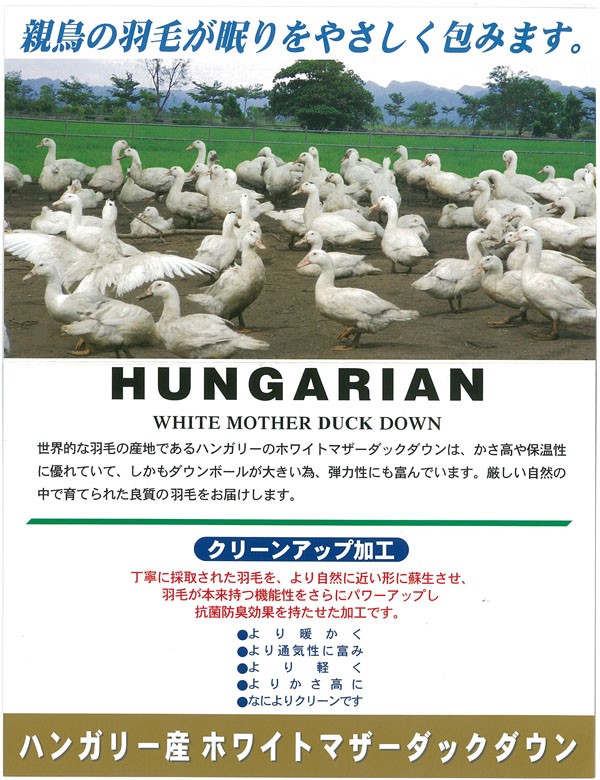 羽毛布団 シングルスーパーロング 増量ハンガリーマザーダウン93％ 羽毛ふとん 日本製　ロイヤルゴールド - 0