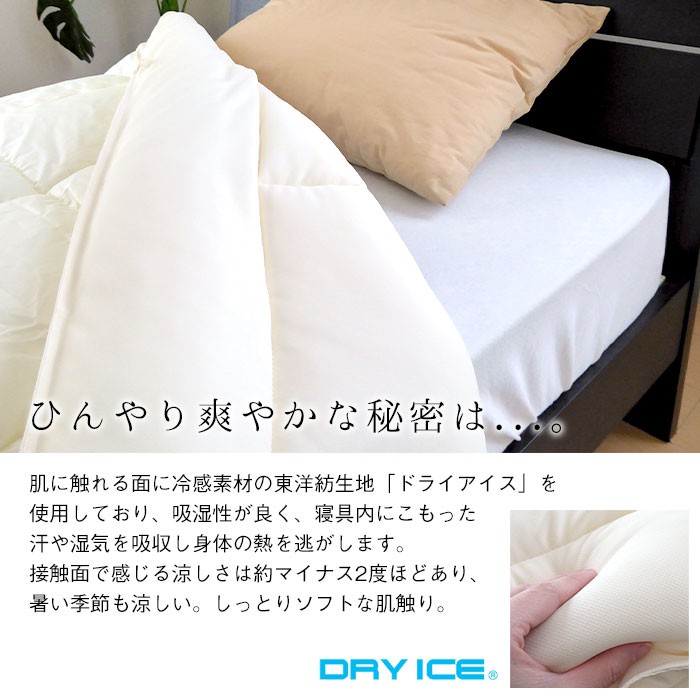 dryice-01-sl-0002.jpg