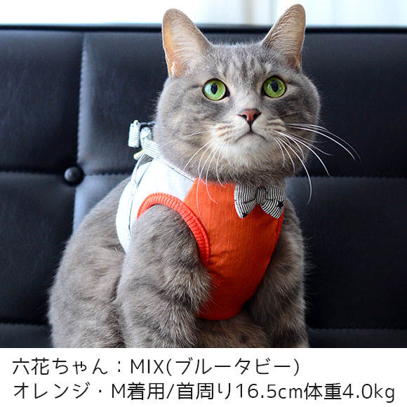 猫ちゃん用品