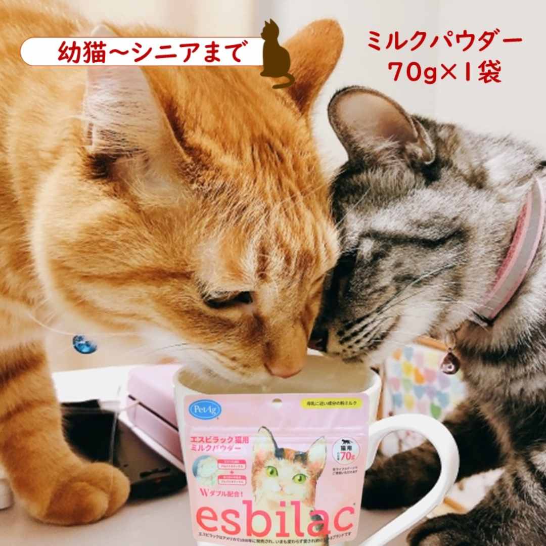 猫ミルク10缶 キャティーマン ねこちゃんの国産牛乳 200ml×2個 離乳後~成猫