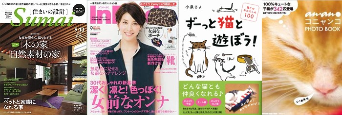 ステンレス食器付 猫用品 Holeダブルマルーン 416 ステンレス食器付 ならショッピング ランキングや口コミも 豊富なネット通販 更にお得なpaypay残高も スマホアプリも充実で毎日どこからでも気になる商品をその場でお求めいただけます ペット