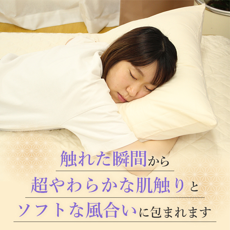 387514ip.jpg