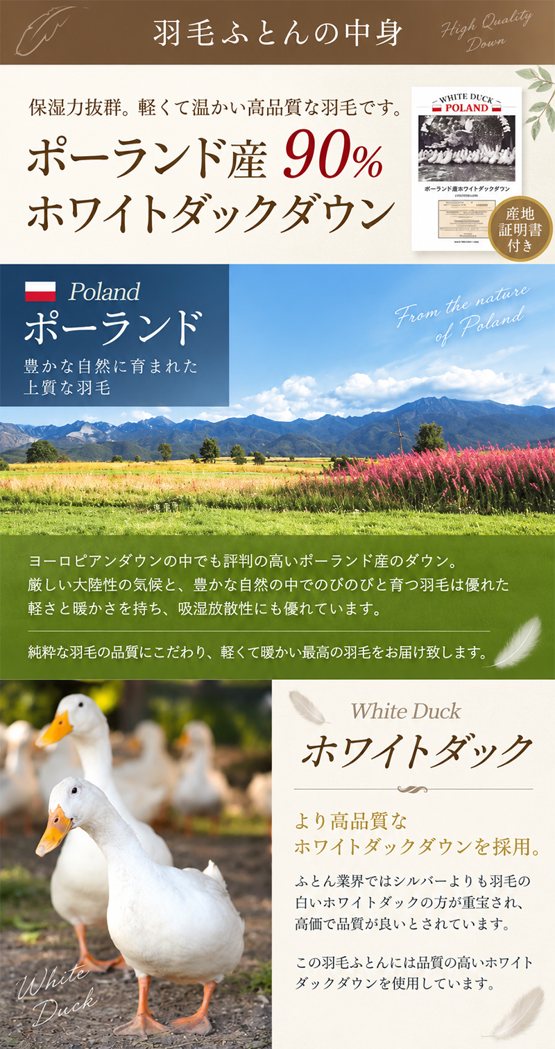 羽毛布団 150×210cm シングルロング ポーランド ダックダウン93% 370dp