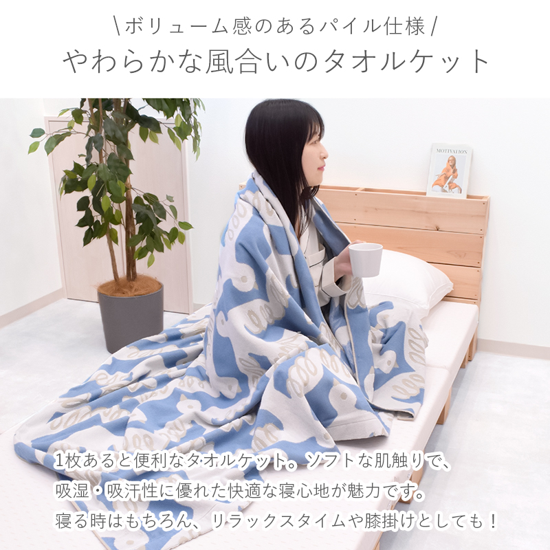 西川 タオルケット シングル 綿100% ブランケット 夏 春 吸湿