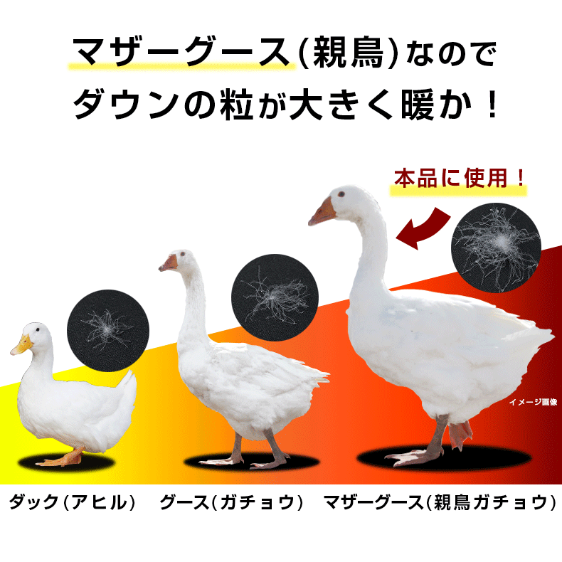 西川 羽毛布団 マザーグース 93% ダブル ポーランド産 日本製 綿100