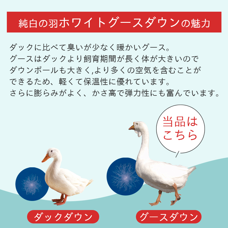 羽毛布団 シングル 西川 選べる特典付き ゴア(R)  ウクライナ産 ホワイトグース ダウン93% 増量1.2kg 冬 掛け布団 GORE(R) 蒸れにくい 日本製 KA03006255｜nemurinokamisama｜08