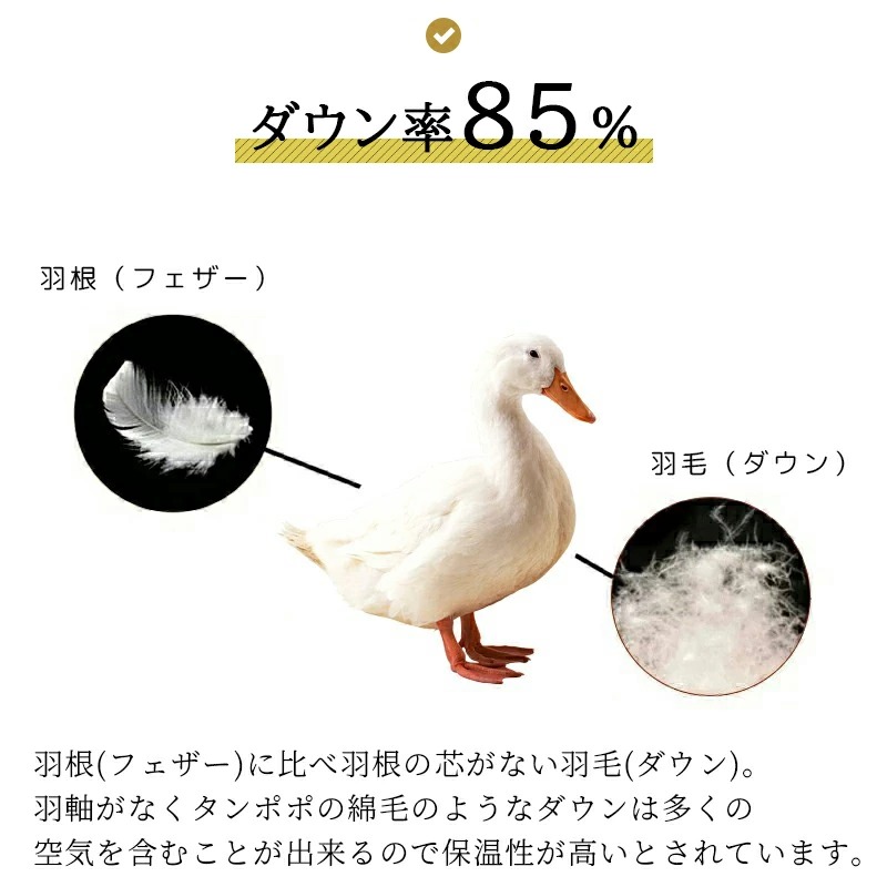 羽毛布団 シングル 西川 掛け布団 冬 ダックダウン 85% 暖かい 冬 1.1kg 掛けふとん 日本製 抗菌 羽毛ふとん KA02002265