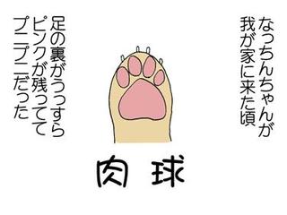 犬 足型,犬 足形,犬の足型,犬 足型,ペットの足型, 犬の足形,犬メモリアルグッズ