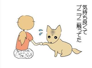 犬 足型,犬 足形,犬の足型,犬 足型,ペットの足型, 犬の足形,犬メモリアルグッズ