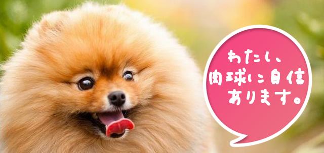 犬 足型,犬 足形,犬の足型,犬 足型,ペットの足型, 犬の足形,犬メモリアルグッズ