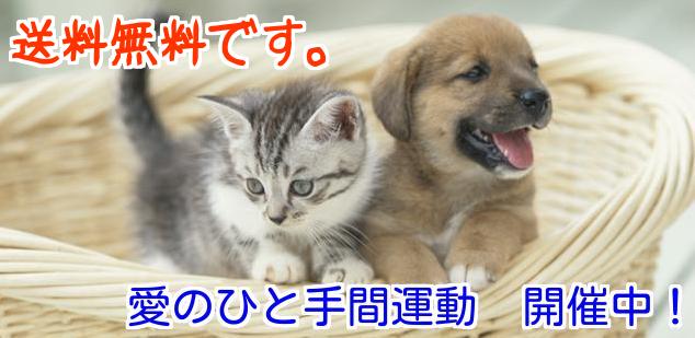 犬 足型,犬 足形,犬の足型,犬 足型,ペットの足型, 犬の足形,犬メモリアルグッズ