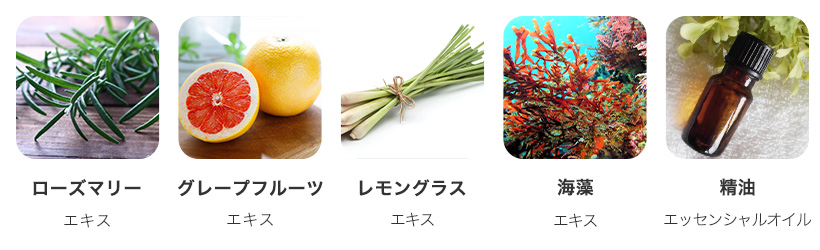 植物性原料