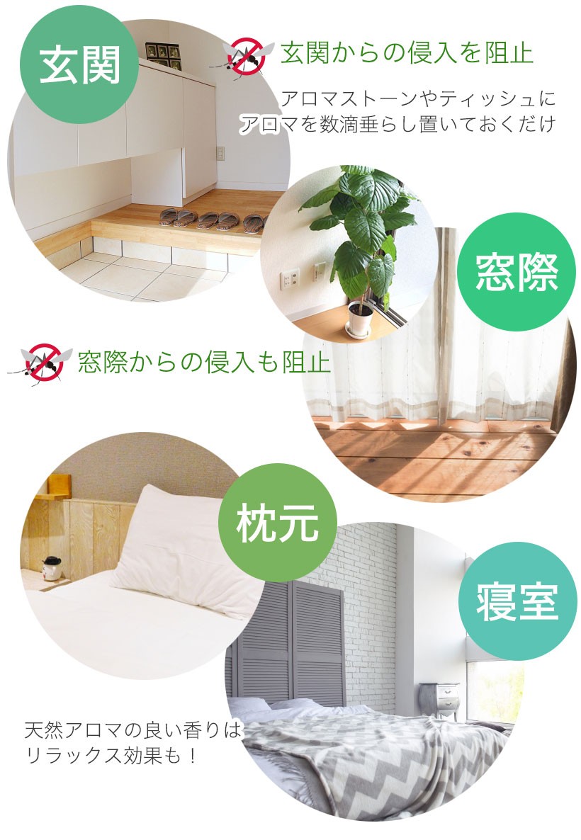 玄関 窓際