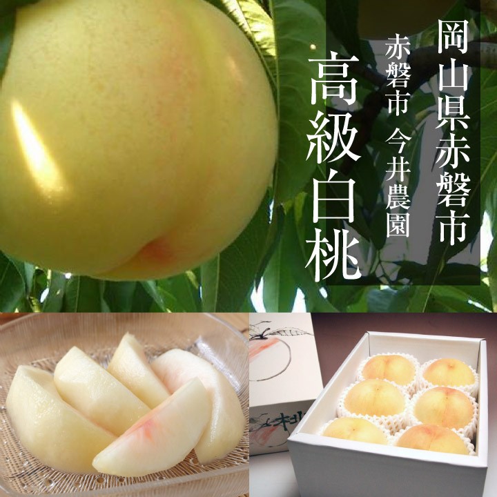 岡山県産白桃 白鳳 6個入り 岡山県産 白鳳（白桃） キング＋ 大玉5～6玉｜山手村プレミアム