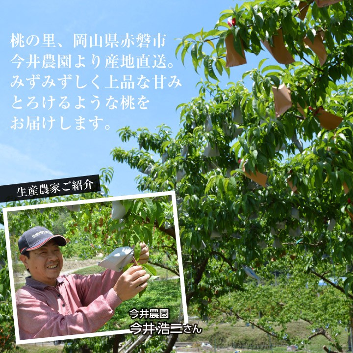 ｛農家直送}岡山一宮　白鳳6個入り 農家直送}岡山一宮 白鳳6個入り - メルカリ