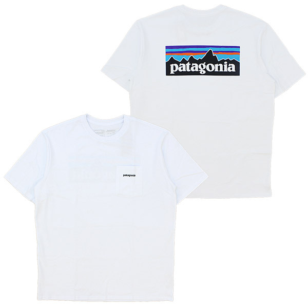 シエラショ patagonia - 超希少！廃盤品！新品 P-6 ロゴ・レスポンシビ