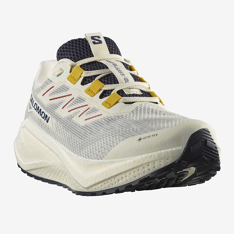 SALOMON（サロモン） メンズ 防水 グラベルランニング ランニング