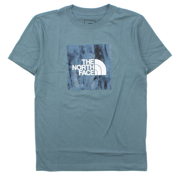 ザ・ノースフェイス THE NORTH FACE Mens S/S Boxed In Tee メンズ 