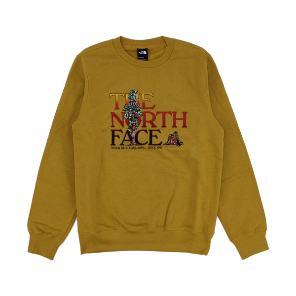 ザ・ノース フェイス THE NORTH FACE Mens Graphic Injection Crew クルーネック スウェット トレーナー 男性用 メンズ [AA]｜neo｜04