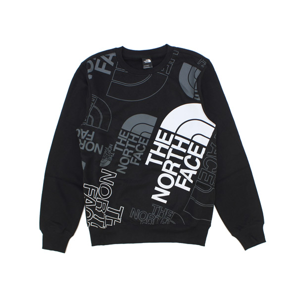 ザ・ノース フェイス THE NORTH FACE Mens Graphic Injection Crew