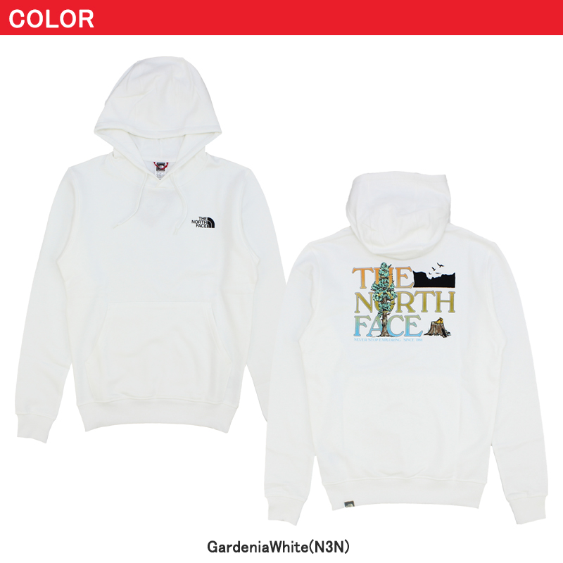 ザ・ノース フェイス THE NORTH FACE Mens Seasonal Graphic Hoodie 