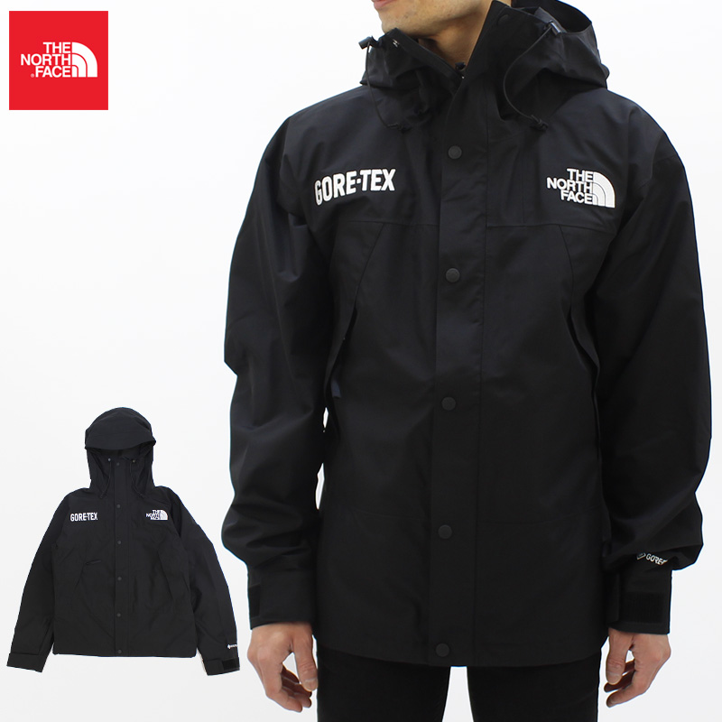 ザ・ノース フェイス THE NORTH FACE Mens GTX Mountain Jacket ゴアテックス マウンテン ジャケット アウター  アウトドア ジャケット 男性 メンズ [CC]