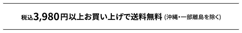 税込3,980円以上のお買い上げで送料無料