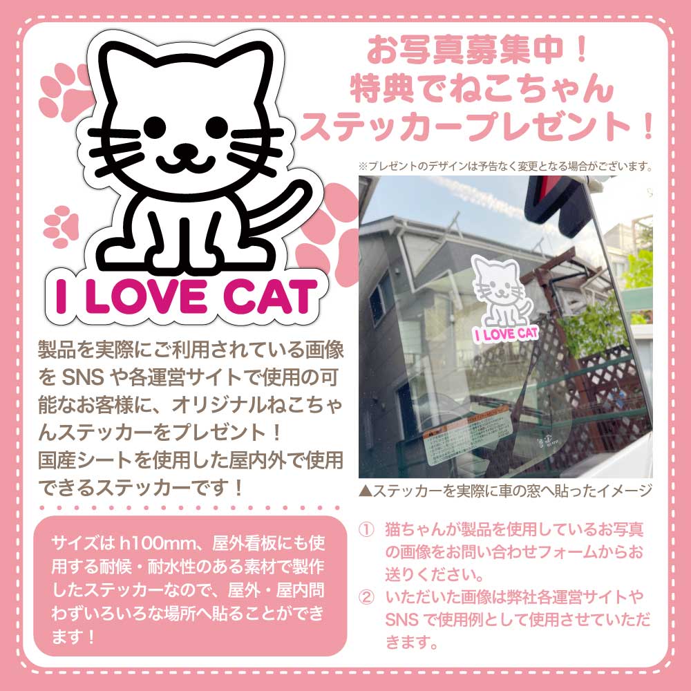 年内出荷終了・年明けより再開※【キャットクイックステップ】猫家具