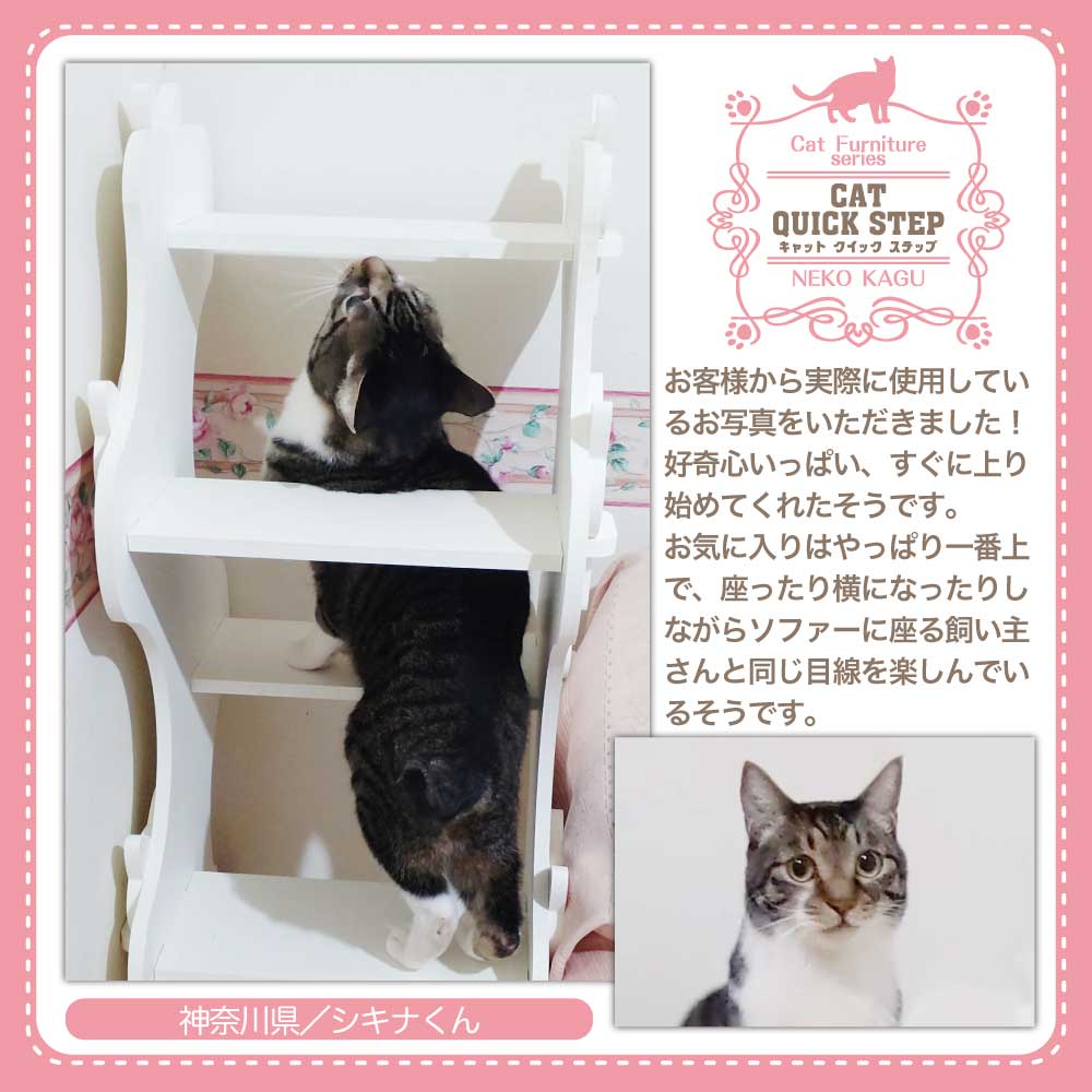 キャットクイックステップ】猫家具 水洗いできる猫のお城 階段型