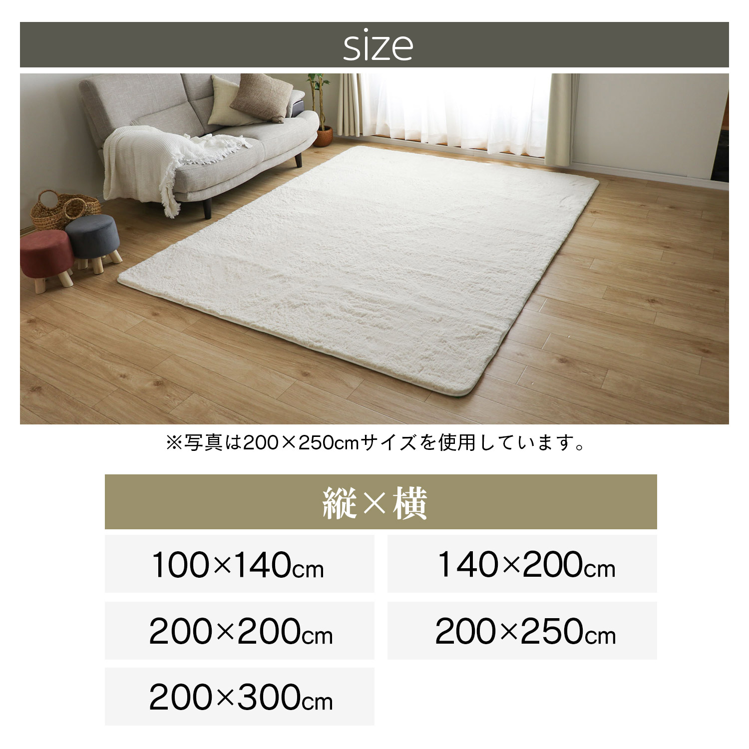 サイズ
