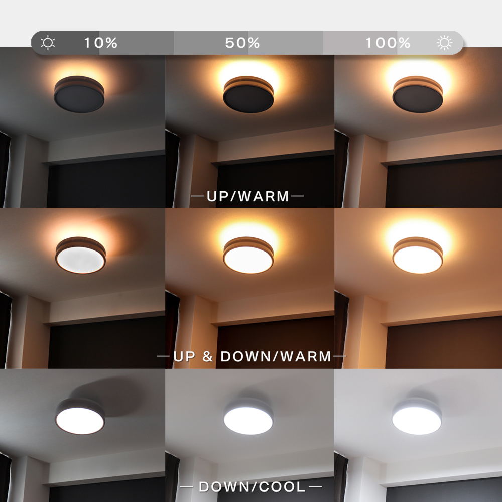 Edison Smart デュアルシーリングライト LED おしゃれ 2024年新製品 