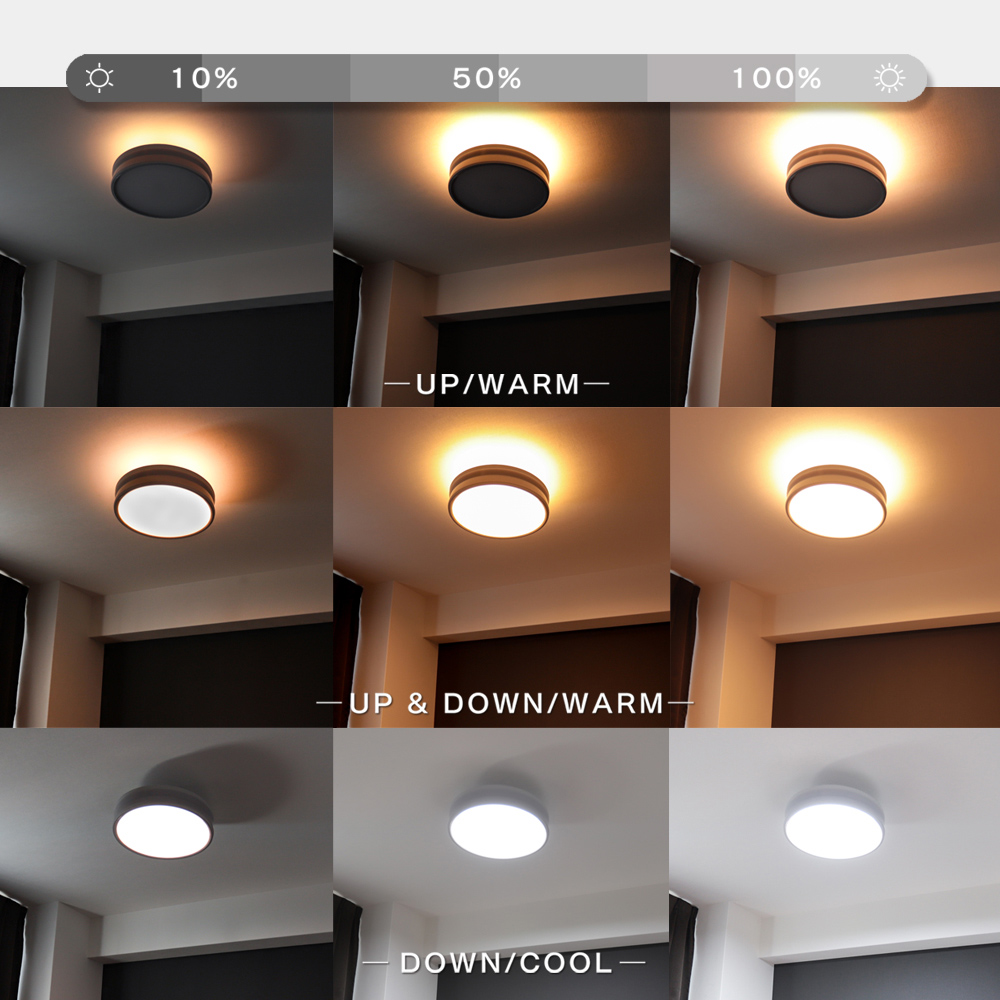 エジソンスマート LED デュアルシーリングライト ブラック 12畳 調光調色 Edison Smart（エジソンスマート） LED デュアルシーリングライト 12畳