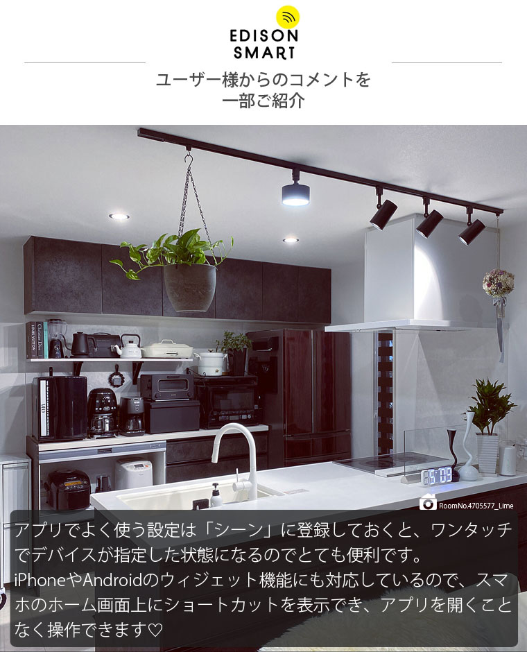 エジソンスマート ミニシーリングライト led スマート照明 WiFi