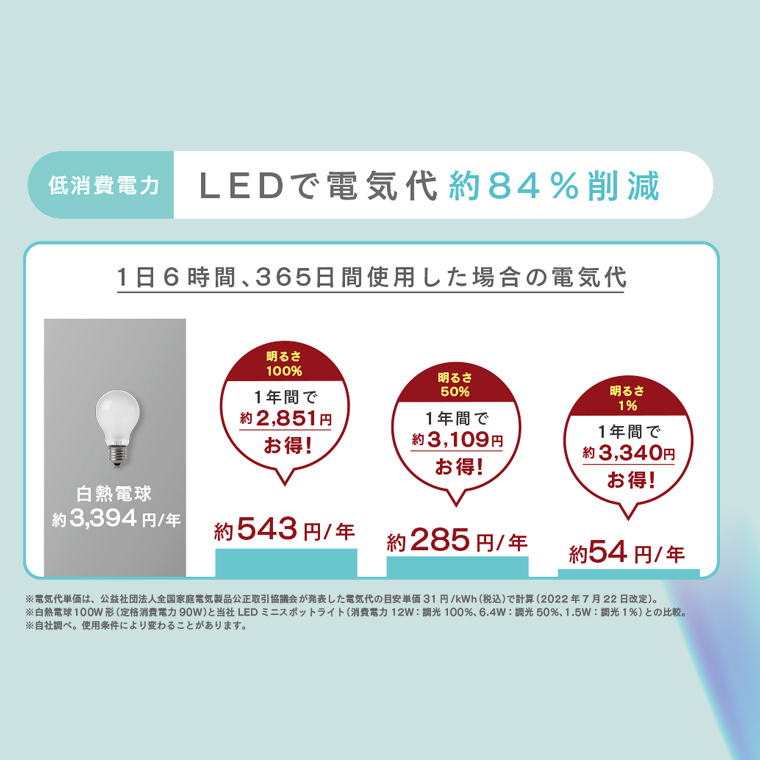 Edison Smart 2個セット Matter対応 エジソンスマート LED電球 Edison Smart 2個セット Matter対応 エジソンスマート LED電球