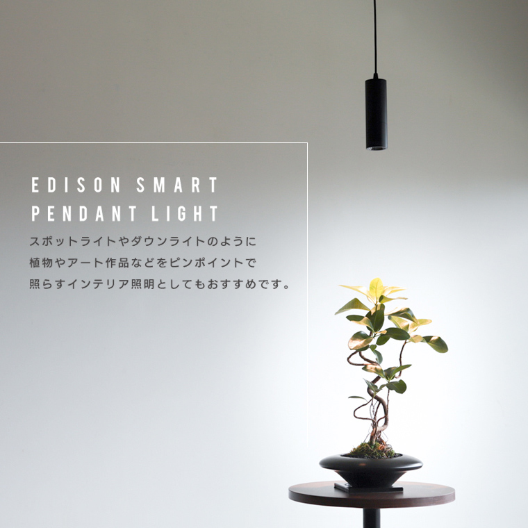 ペンダントライトスポットライト2個セット