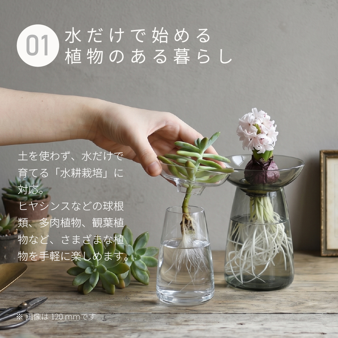 KINTO（キントー） アクアカルチャーベース Lサイズ 120mm 水耕栽培