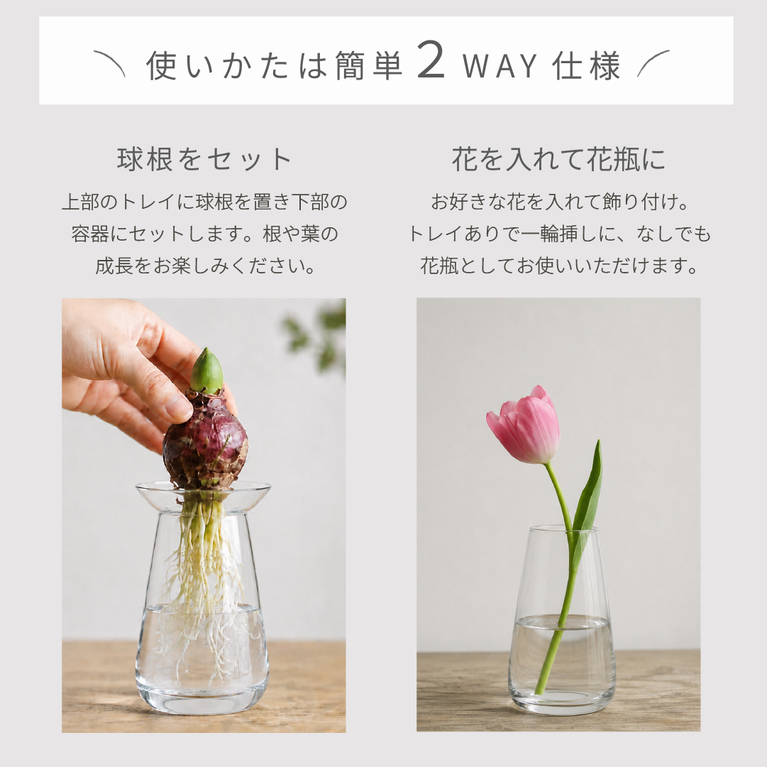 KINTO（キントー） アクアカルチャーベース Lサイズ 120mm 水耕栽培
