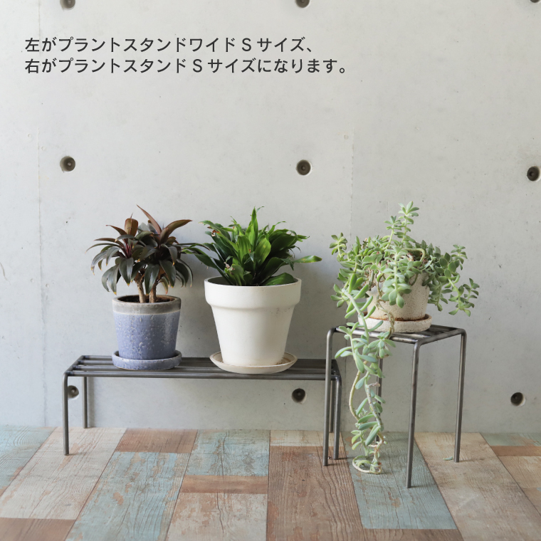 WEST VILLAGE TOKYO（ウェストビレッジトーキョー） ノッププラント