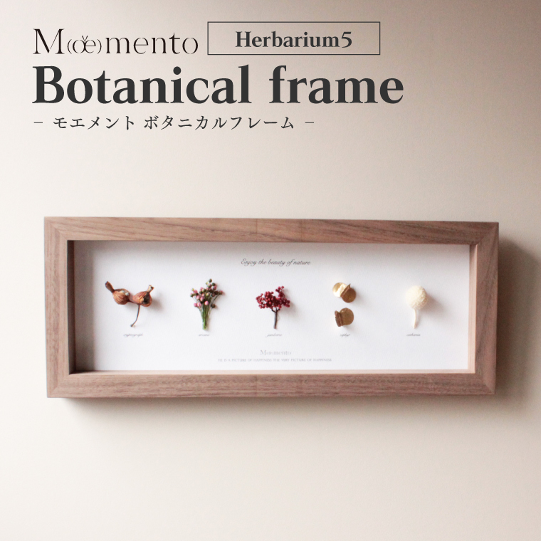 アートフラワーフレーム Moemento ドライフラワー 植物標本 お花付 すぐ飾れる Herbarium5 額縁 壁掛け 置き型 おしゃれ  インテリア 高級 手作り 壁面 贈り物 : moemento04 : ネストビューティ - 通販 - Yahoo!ショッピング