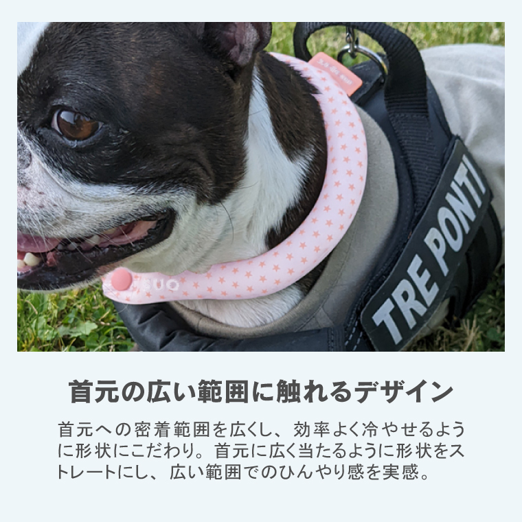 ICE RING SUO 犬用 ネッククーラー Lサイズ 2025モデル アイ