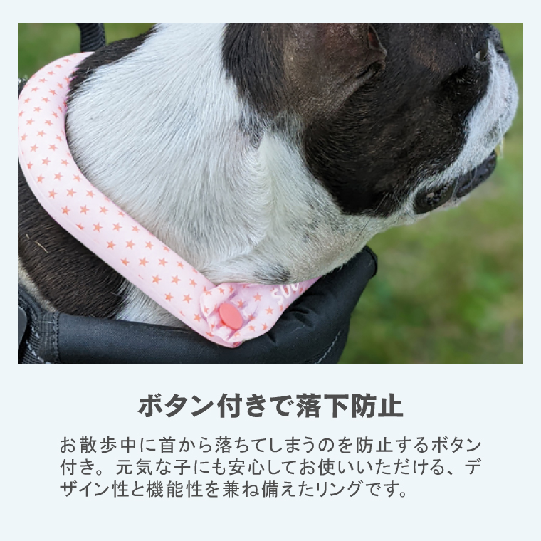 ICE RING SUO クールリング 犬用 Mサイズ 2025モデル 正規販売店