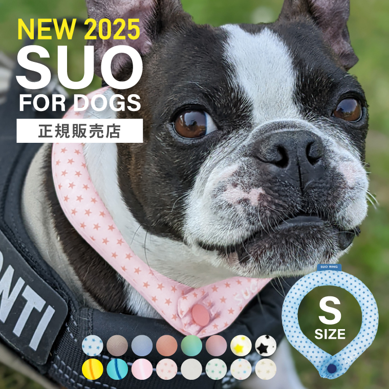 ICE RING SUO クールリング 犬用 Mサイズ 2025モデル 正規販売店