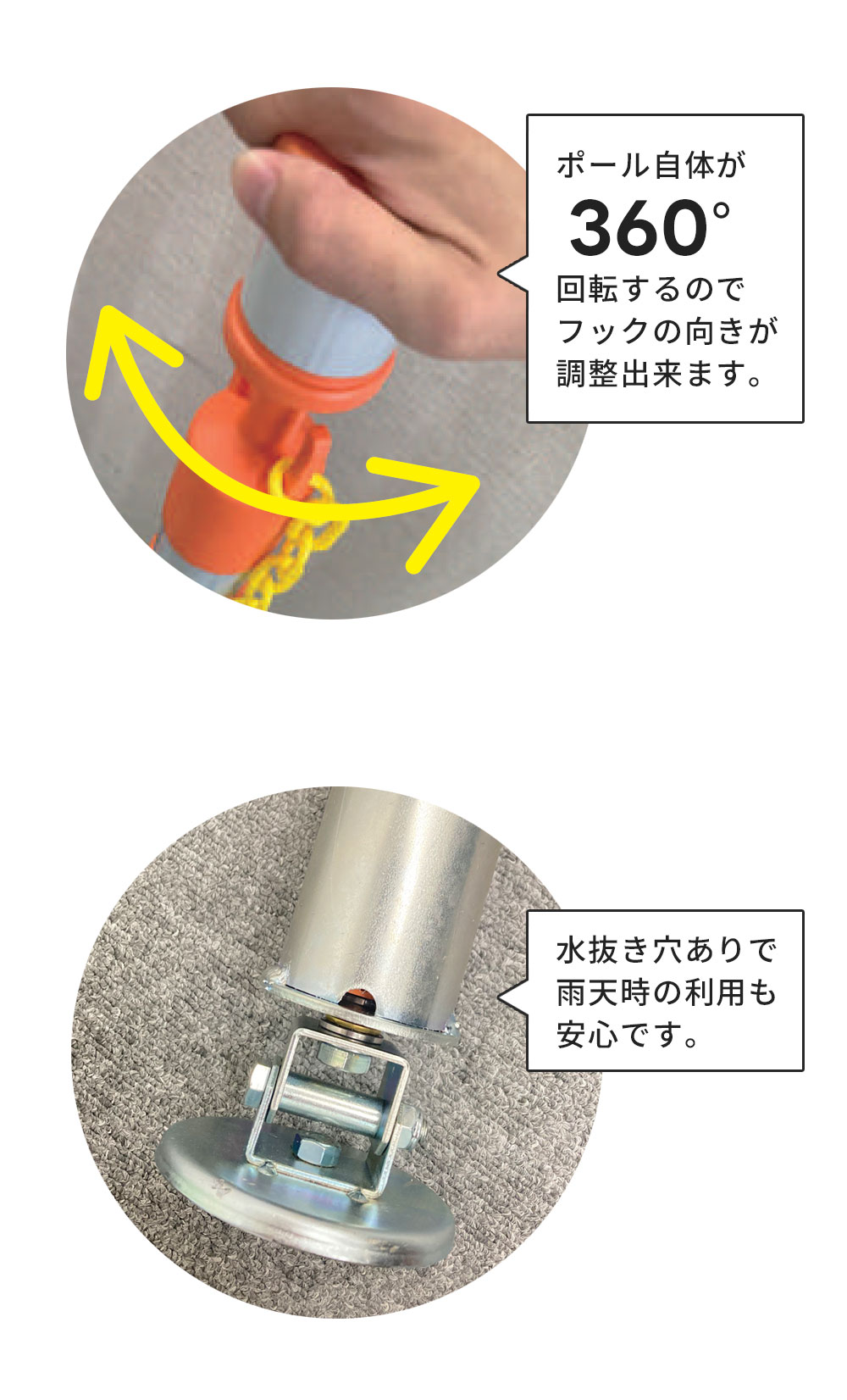 Amazon | 脊柱用2分割マルチスタンド | 生物・動物・人体 | おもちゃ