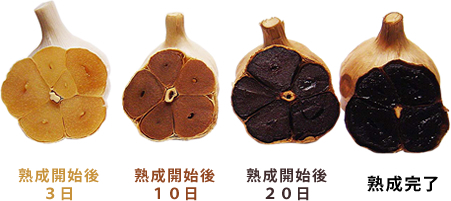 熟成過程
